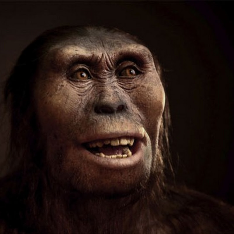 Bí ẩn tiền sử