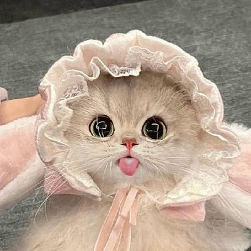 喵喵愛看書 Logo