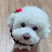 @현주탁