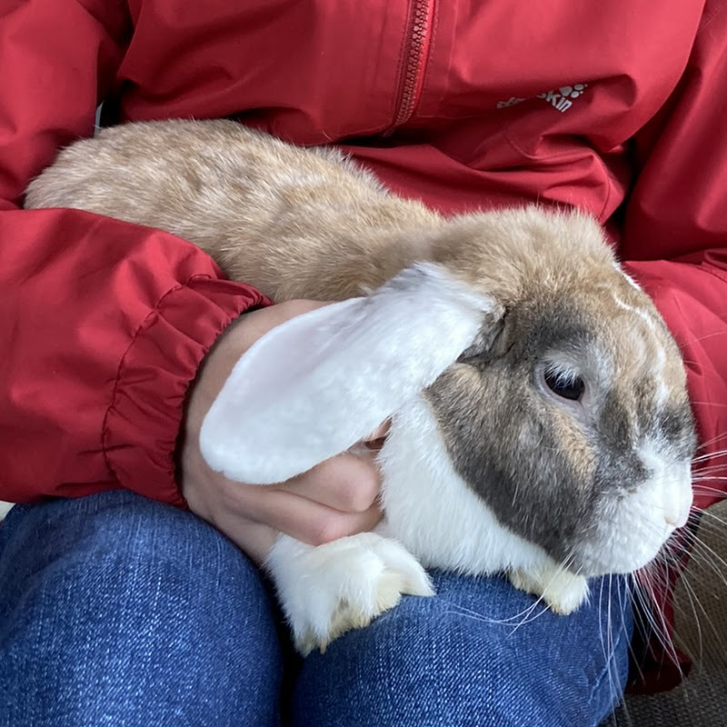 Hire Fn bs  — Vegetable Gardening YouTube creator for sponsorships