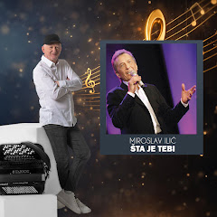 Miroslav Ilić - Topic
