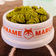 がいようアイコン画像