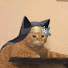Hn4AFcZ2UvE-channel-avatar-djklaipldd