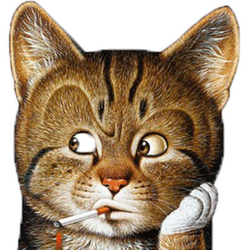 Channel Avatar