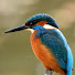 NSW_bNh57To-channel-avatar-Wigola 66