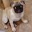 @isitab3665's avatar