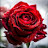 @robinsonrobson16