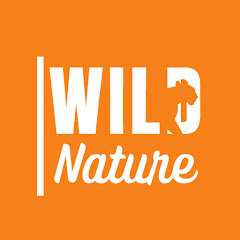 Wild Nature - Português
