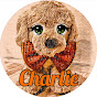 Charlie Music TV