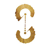 Wim Stultiens - Bodywork