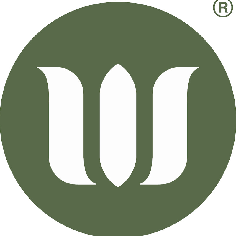 WholisticMatters Logo