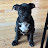 @OMG-Zeus Avatar