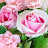 @들풀-d9d