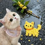 Cat StreaMia