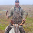 6htRVCzPcRo-channel-avatar-Feathers N Fur outdoors 