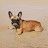 @Candy_lo2lo2a