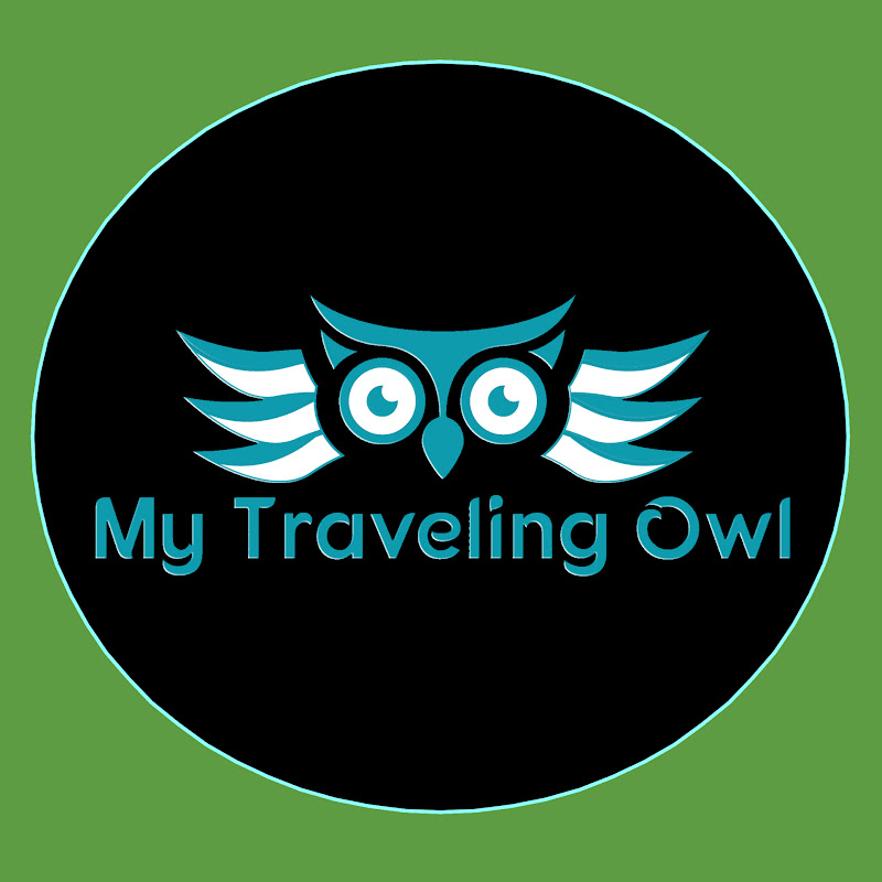 My Traveling Owl