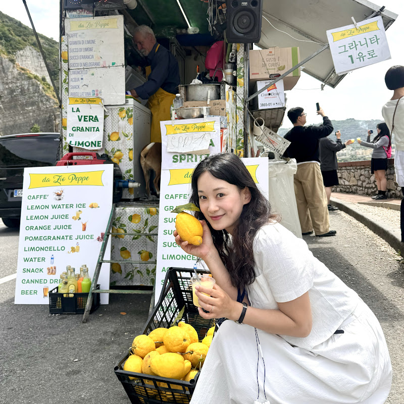 성실한 여행자
