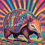 Dancing Armadillo logo