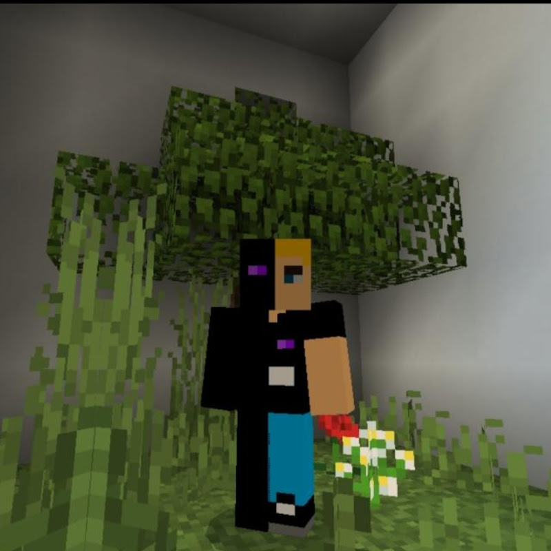 Hire EnderLasse — Esports & Competitive Gaming YouTube creator for sponsorships