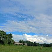 No Filter Vlogs (BIHAR)