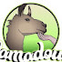 IFHZ6nPAC8I-channel-avatar-Lamadoué