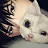 @Biyosobi_bcw