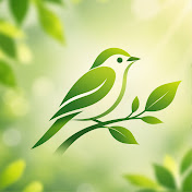 Healing Birdsong Nature