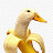 @banana_duck