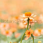 Botanic Productions logo