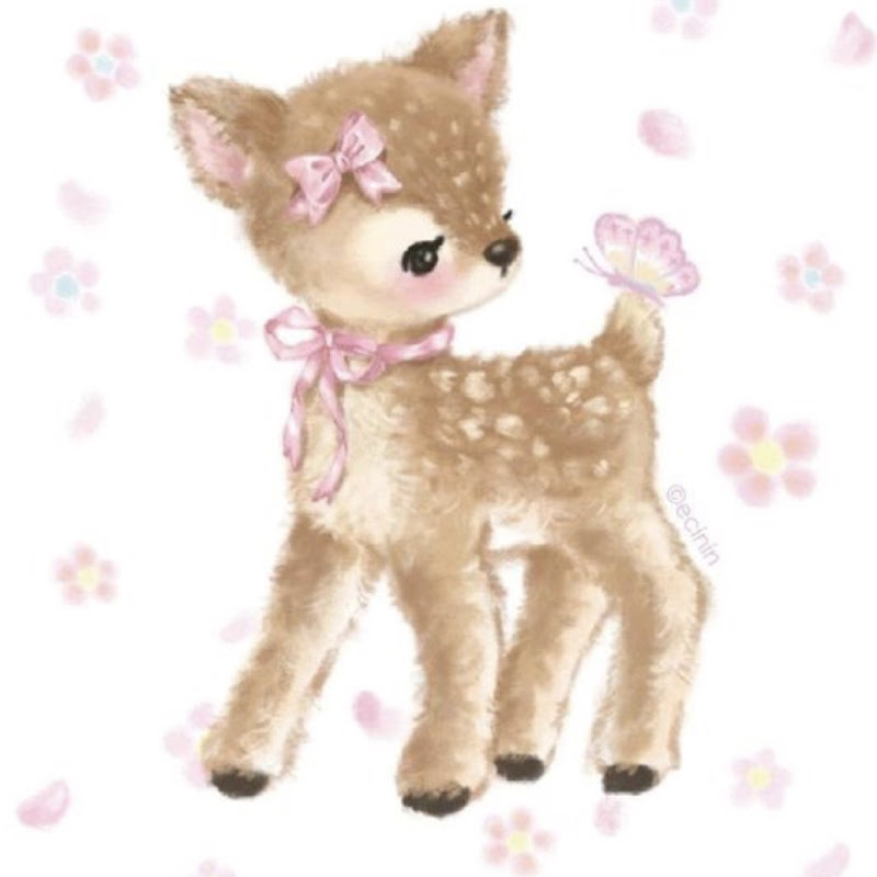 Emmy’s life 🩷🤍