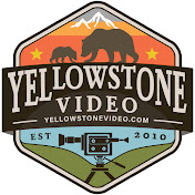 Yellowstone Video