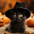 @Shannon-547's avatar