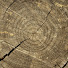 r83xUVrZlGk-channel-avatar-Wooden heart