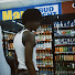 fYjaoDSufq4-channel-avatar-Chrissports 