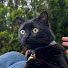 nHr_LHs3_bg-channel-avatar-Griffin