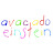 @avacadoeinstein9753