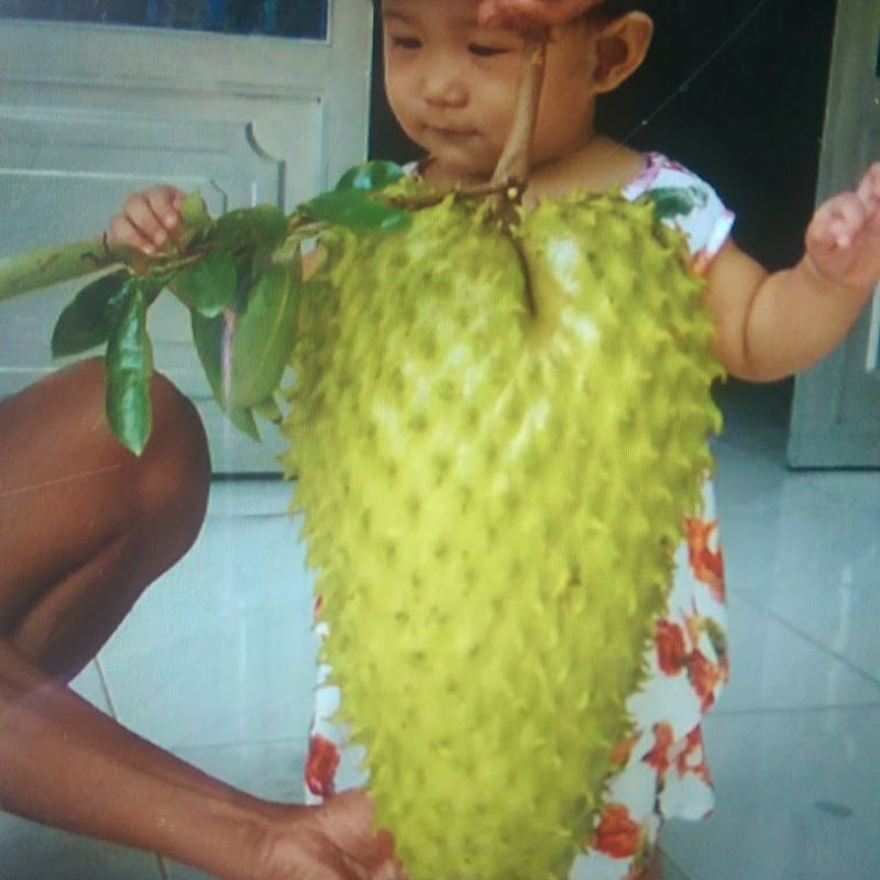 Nhà Nông Hậu Giang