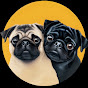 Tiny Pug Chronicles  logo