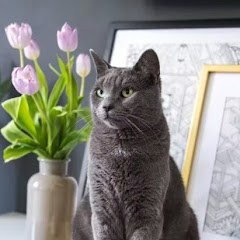 テレフォン人生相談 神回アイコン画像