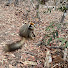 LeJ_CTynDPQ-channel-avatar-Henri Travel Madagascar