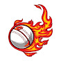 Cricket Choupal  logo