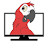 PARROT TV