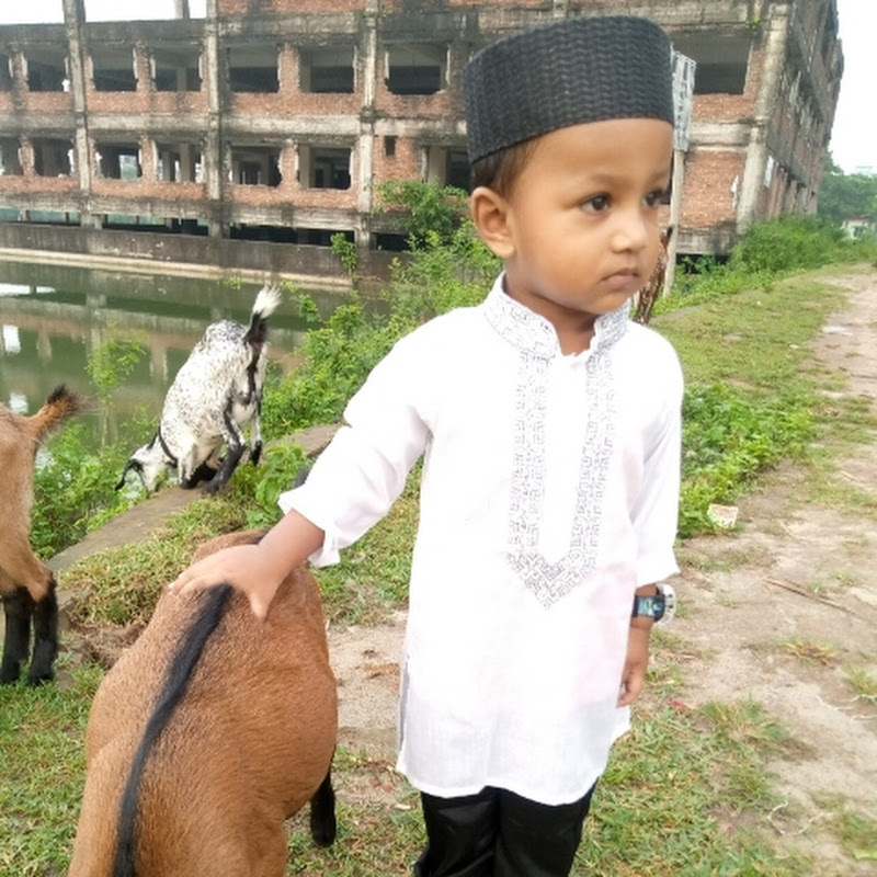 hamim chowdhury little Star 