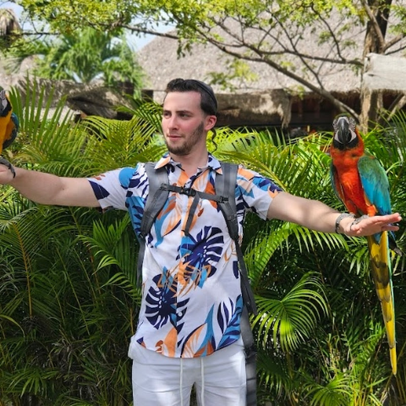 Come along with Avrumy