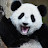 @jaa7025 Avatar