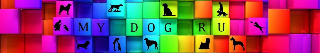 My Dog Ru - Ð”Ñ€ÐµÑÑÐ¸Ñ€Ð¾Ð²ÐºÐ° Ð¸ Ð²Ð¾ÑÐ¿Ð¸Ñ‚Ð°Ð½Ð¸Ðµ ÑÐ¾Ð±Ð°ÐºÐ¸ YouTube-Kanal-Avatar