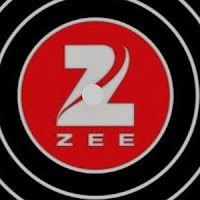 Profile Picture of Zee music  company
