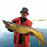 K4WuvZjzj9U-channel-avatar-Raiko Vainola