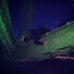 6oeSHaqO090-channel-avatar-Myphonebuggin